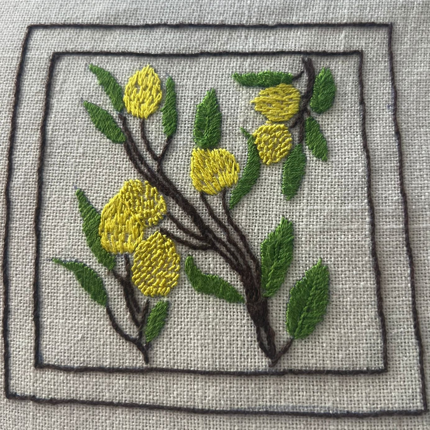 Kit de broderie - Motif Citron (tout inclus)